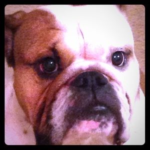 Meet your Posher, Noel